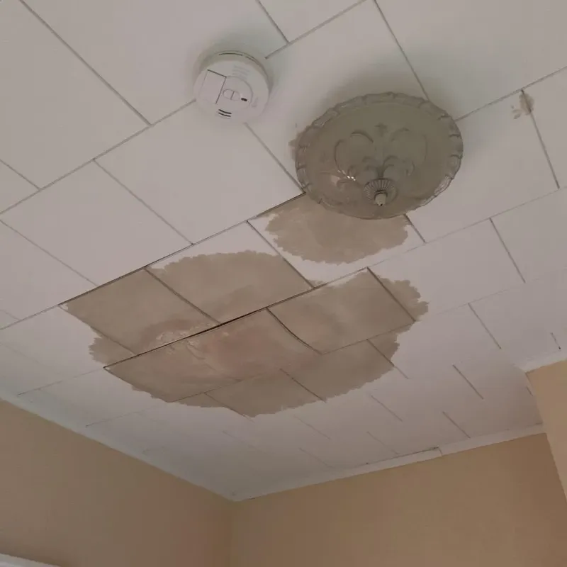 Ceiling Water Damage Repair in Clearwater County, MN
