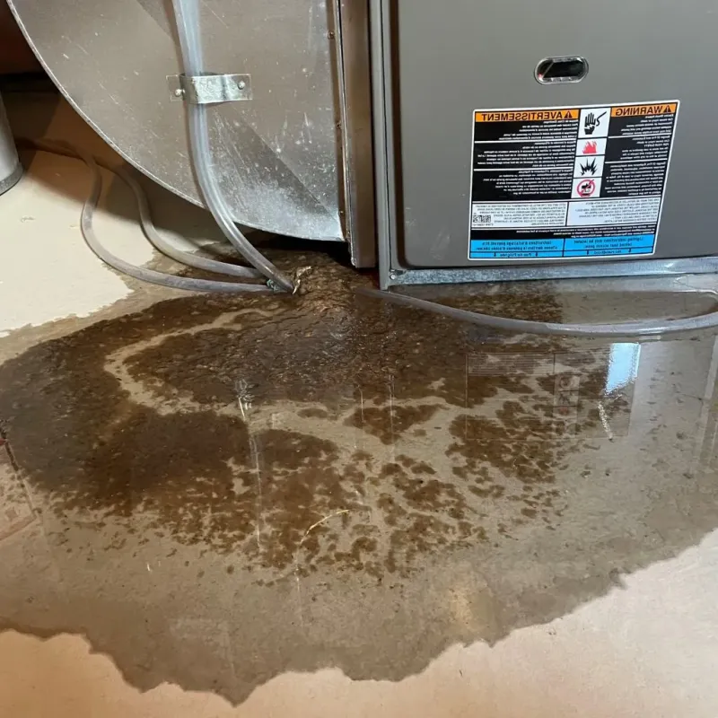 Pipe Burst and Leak Restoration in Clearwater County, MN